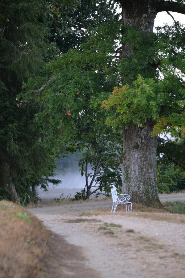 Domaine De Bort Bed and Breakfast Saint-Priest-Taurion Εξωτερικό φωτογραφία